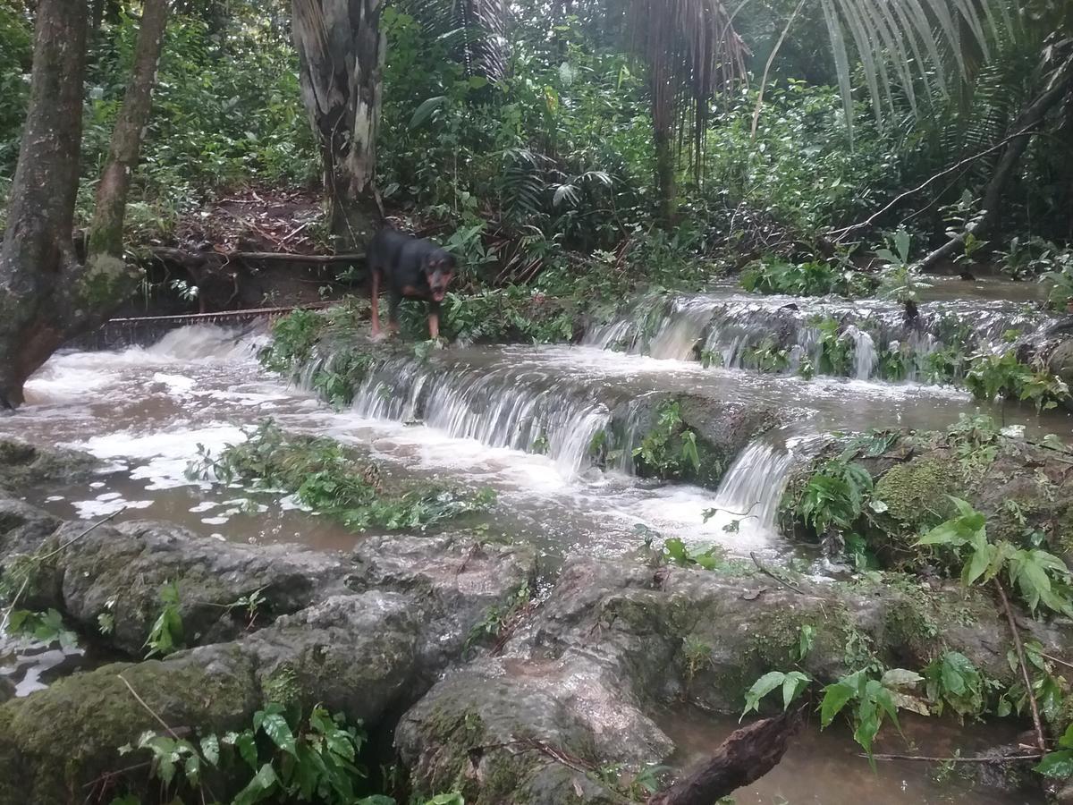 הוסטל Unitedville Hidden Haven מראה חיצוני תמונה