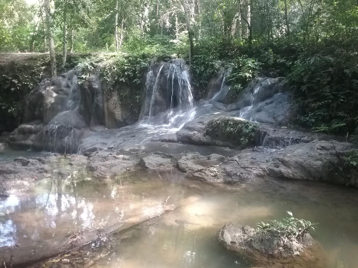 הוסטל Unitedville Hidden Haven מראה חיצוני תמונה