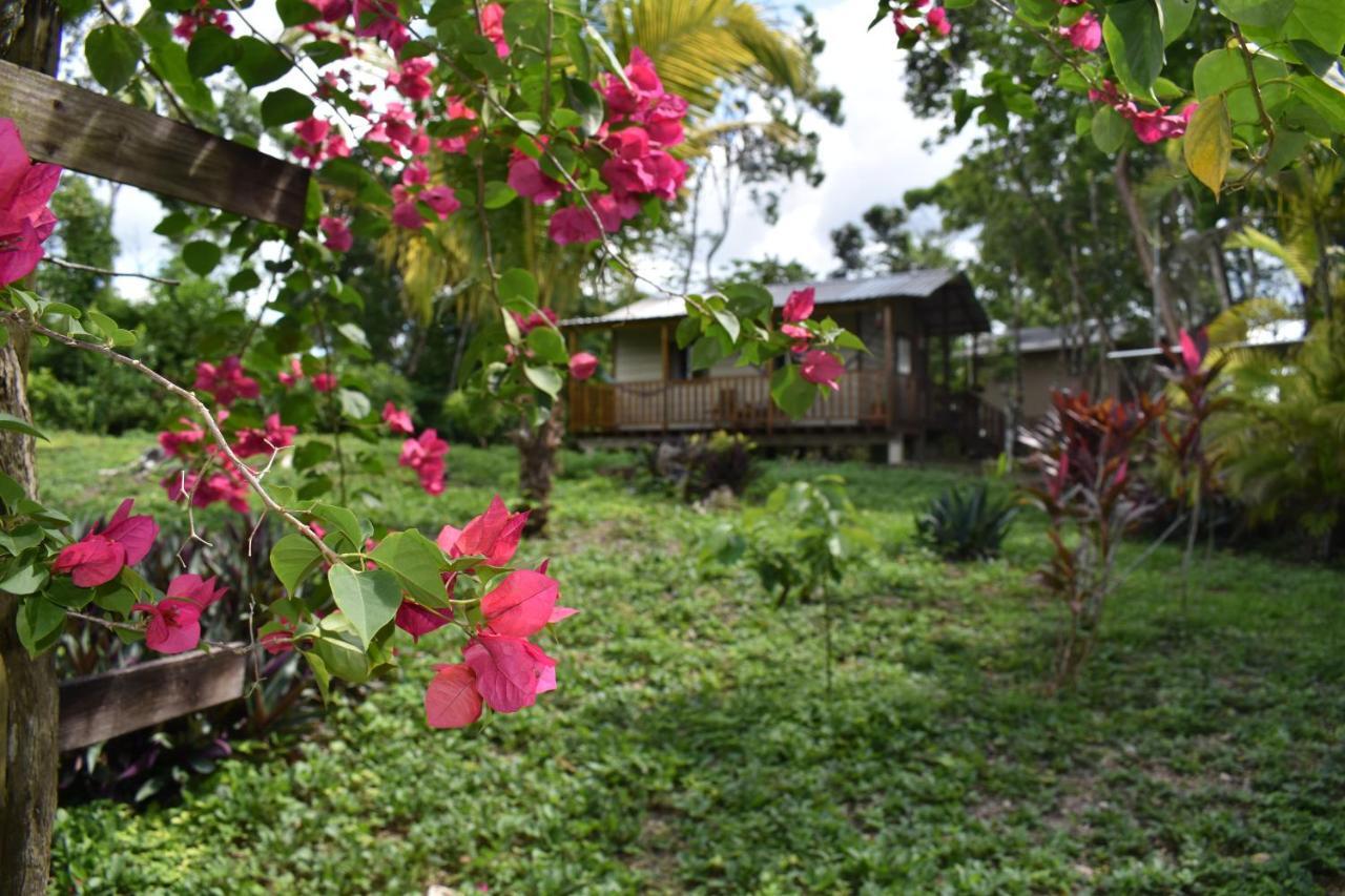 הוסטל Unitedville Hidden Haven מראה חיצוני תמונה
